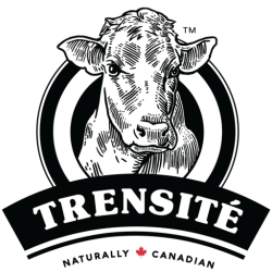 Trensite Trensite